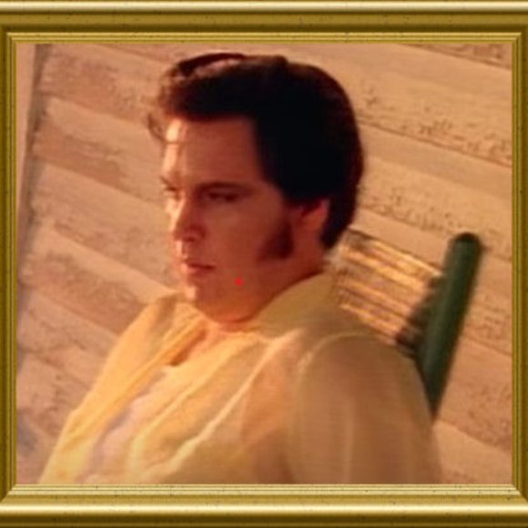 Meet your Posher, Elvis - Picture 1 of 9